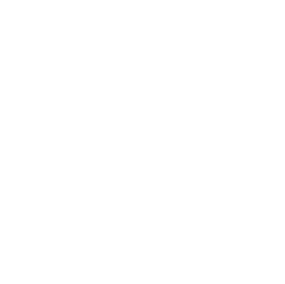 Fast Food