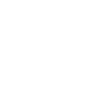Pasta & Noodles