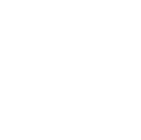 Pasta & Noodles